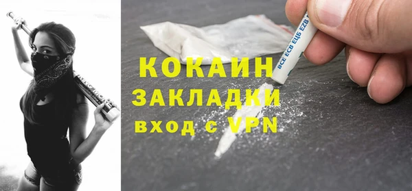 твердый Арсеньев