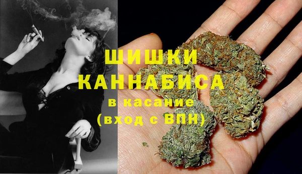 шишки Армянск