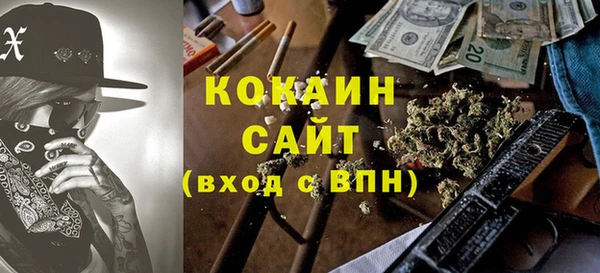 шишки Армянск