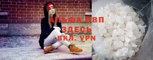 твердый Арсеньев