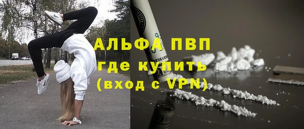 твердый Арсеньев